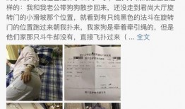 网红打孕妇最新爆料,孕妇遭围殴，现场画面令人震惊