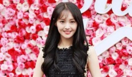 晋江欧美娱乐圈爆料,揭秘明星背后的故事与真相